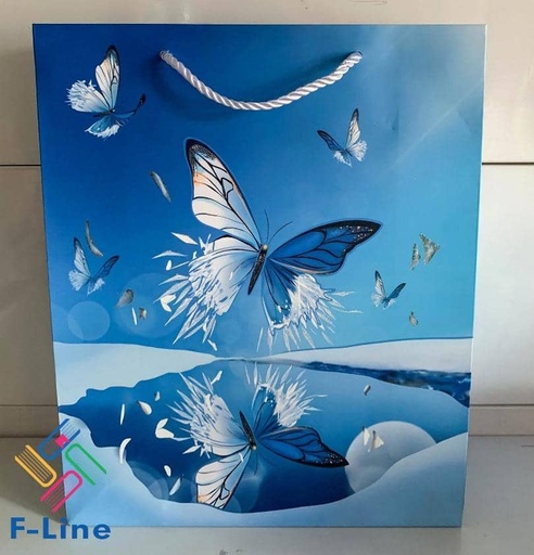 Sac cadeau / 750Fcfa